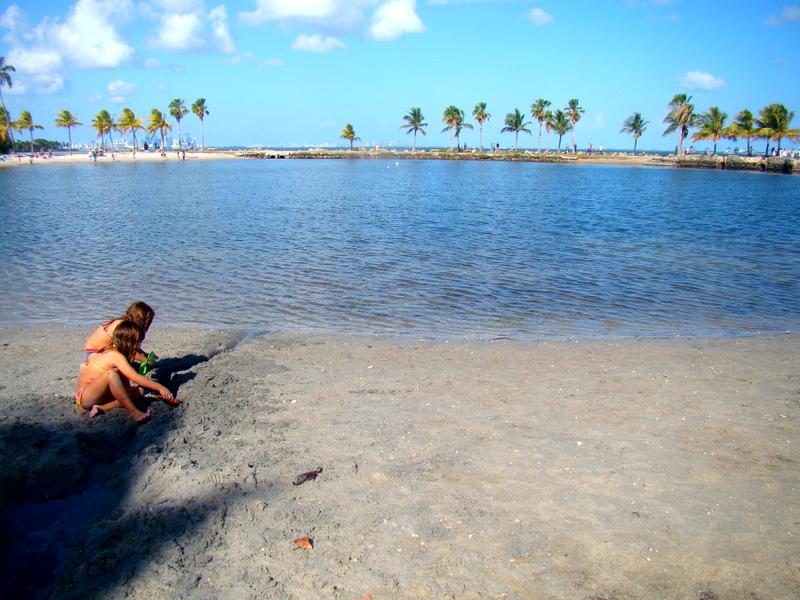 Matheson Hammock Park