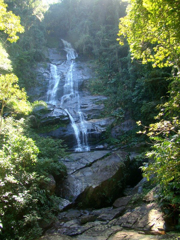 Floresta da Tijuca