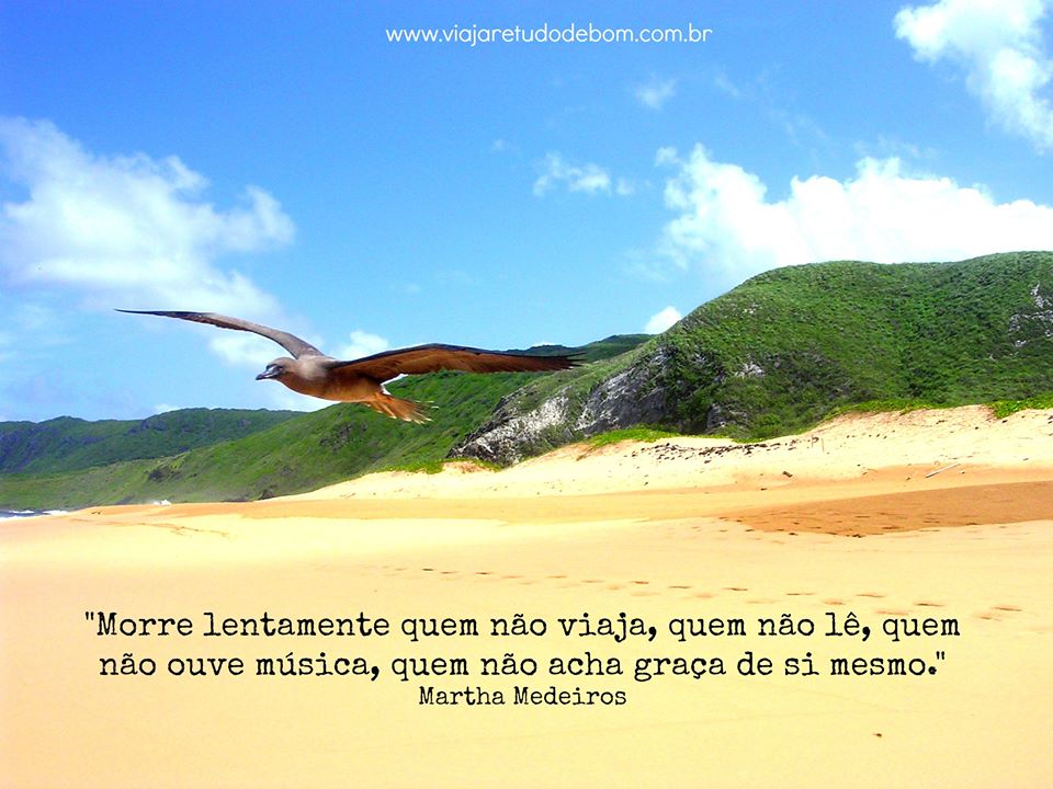 Frases sobre viajar 2