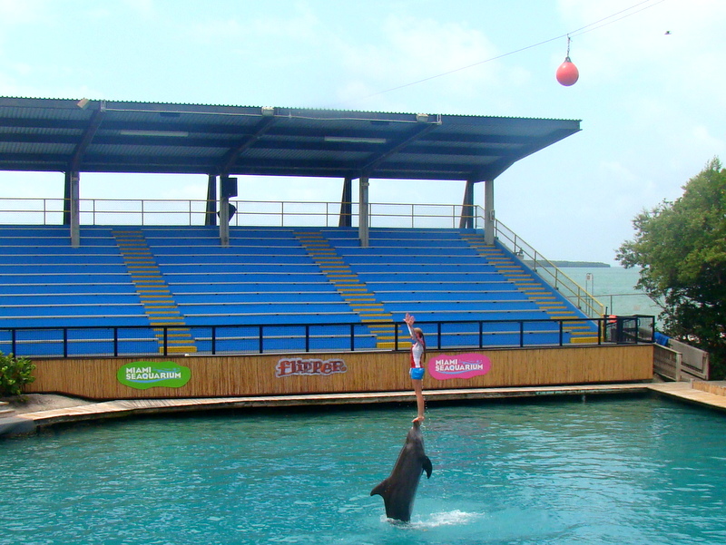 Miami Seaquarium