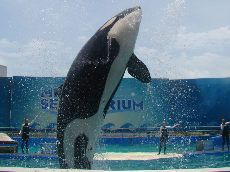 Miami Seaquarium
