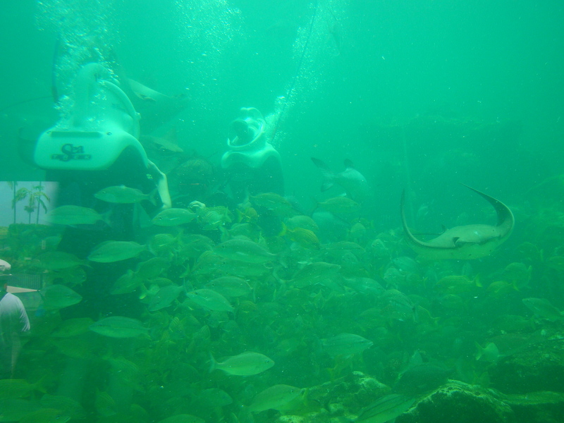 Miami Seaquarium