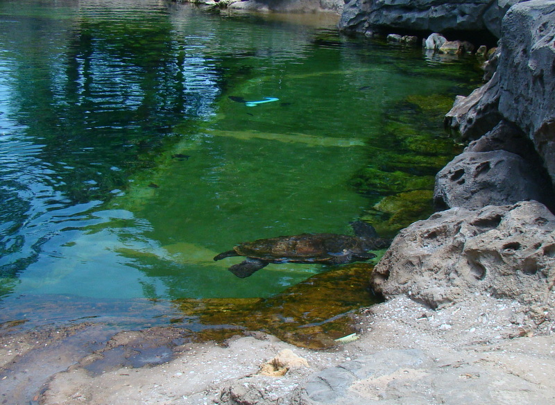 seaworld