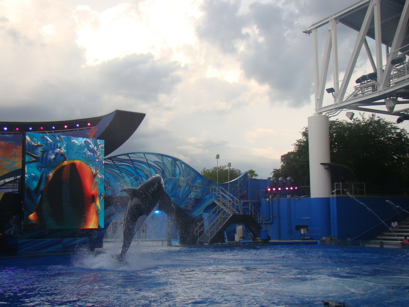 SeaWorld