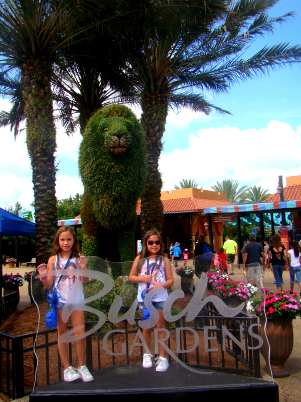 Bush Gardens