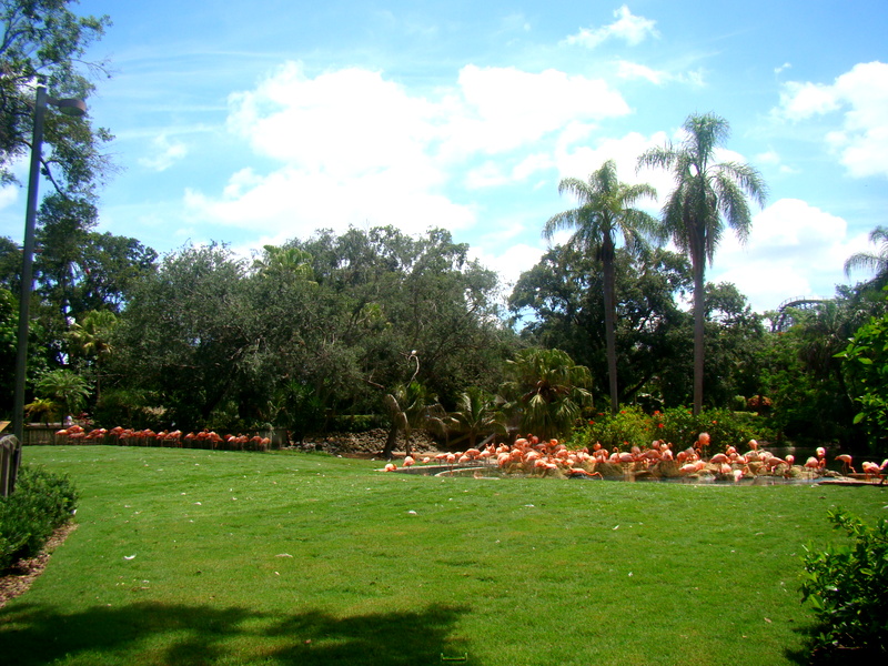 Bush Gardens
