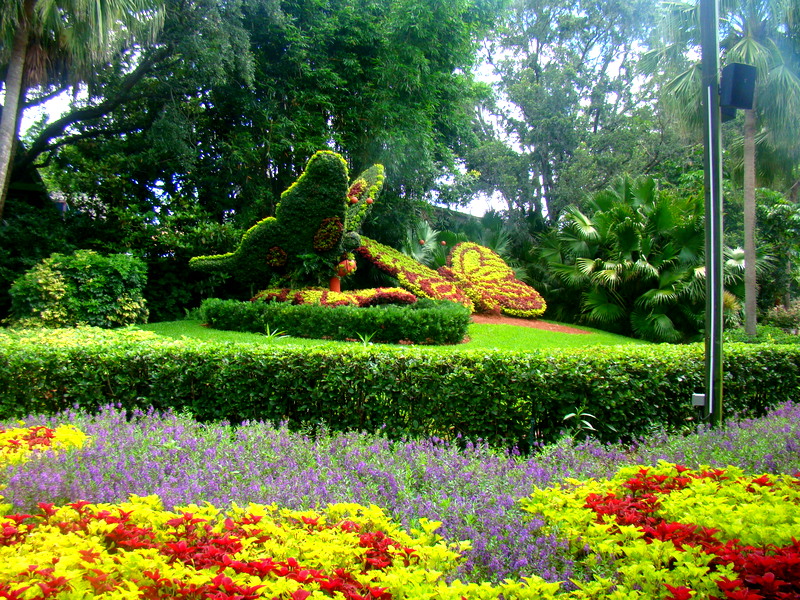 Bush Gardens