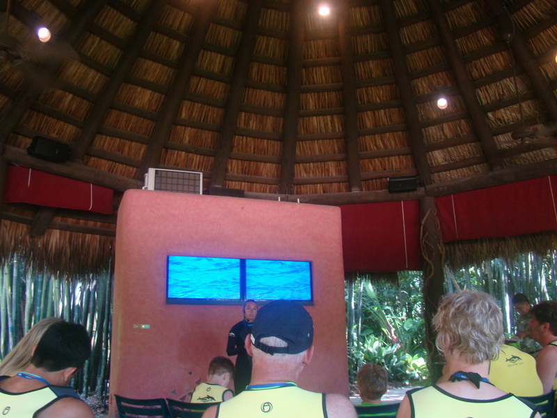 Discovery Cove