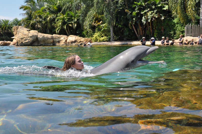 Discovery Cove