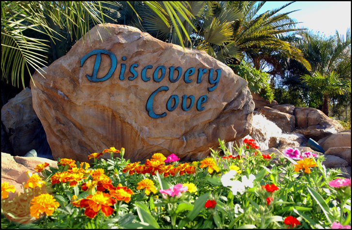 Discovery Cove
