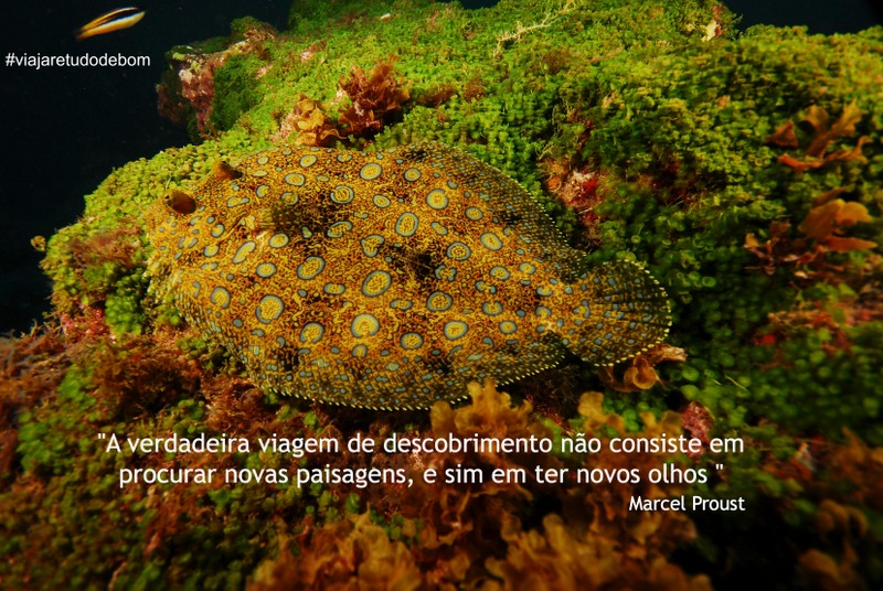 Frases viajar