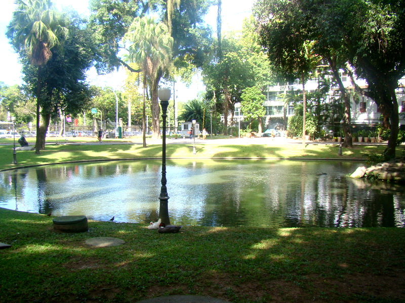 lago, patos, gansos.. 