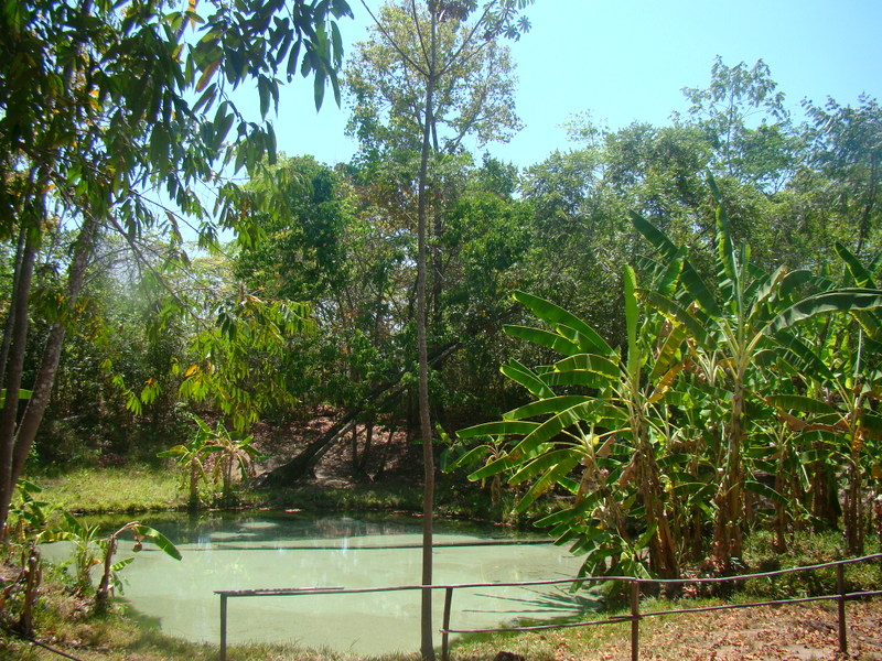 Fervedouro 