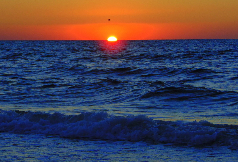 Pôr do Sol em Clearwater Beach