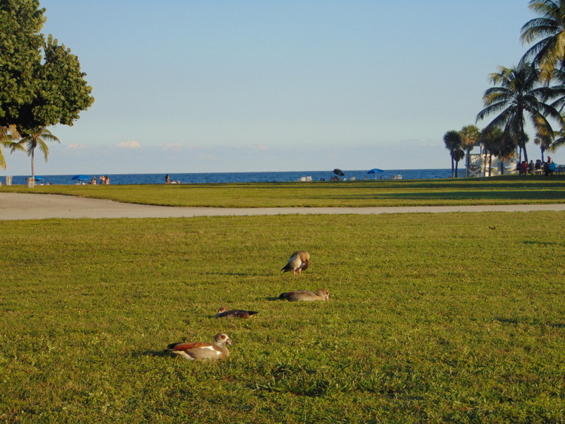 Crandon Park