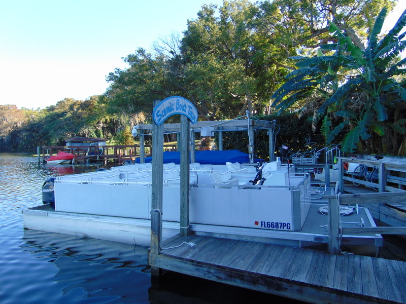 Scenic Boat Tour - WInter Park