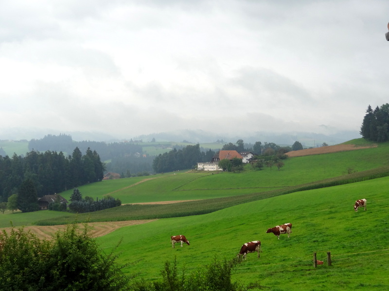 DSC09846