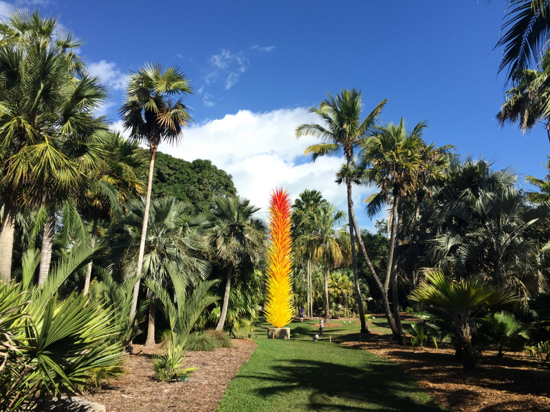 alguns cantinhos parecem o jardim botânico do Rio 