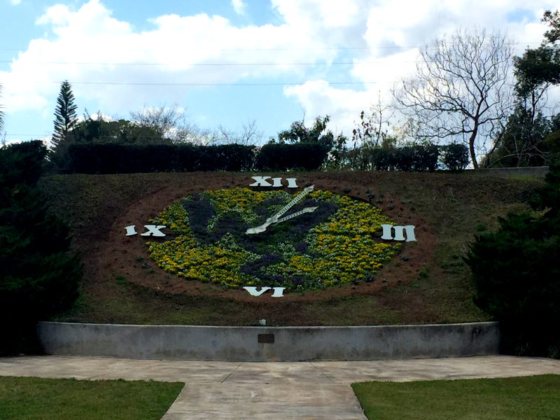 o relógio de flores