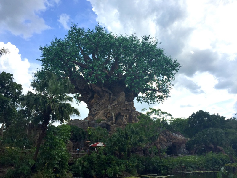 Animal Kingdom