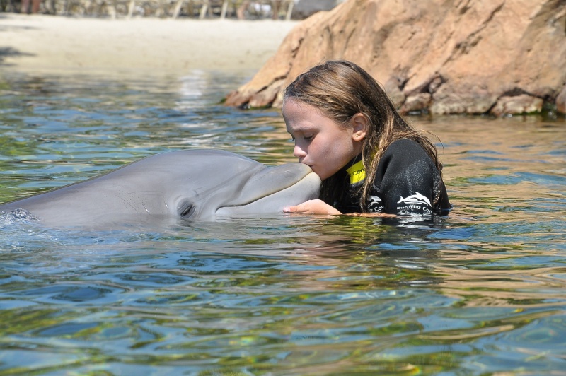 Discovery Cove 