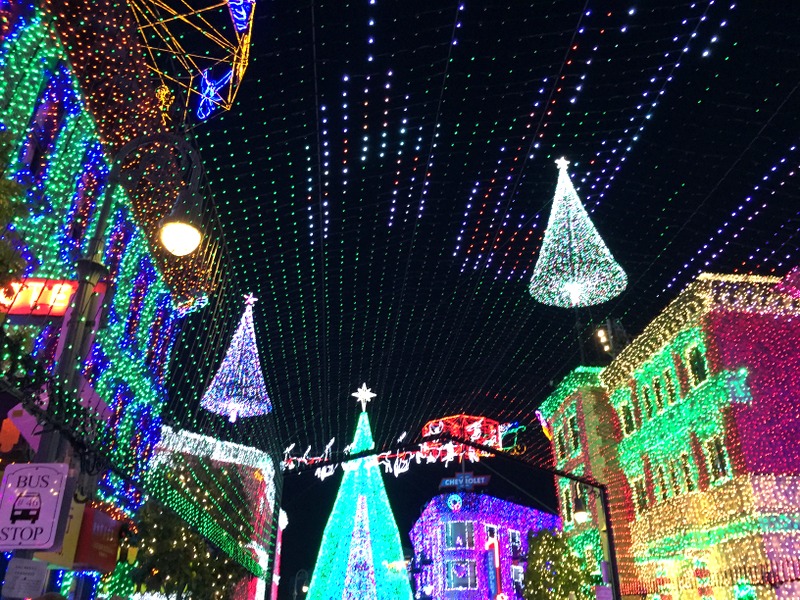 The Osborne Family Spectacle of Dancing Lights: O espetáculo é lindo.. pena que é o último ano... 