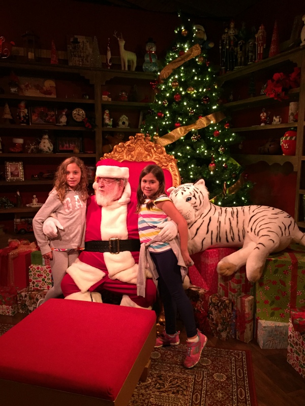 meninas com o Papai Noel 