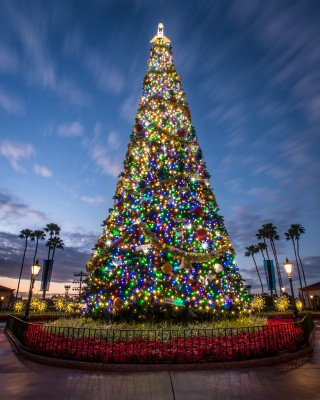 A gigantesca árvore de Natal do Epcot 