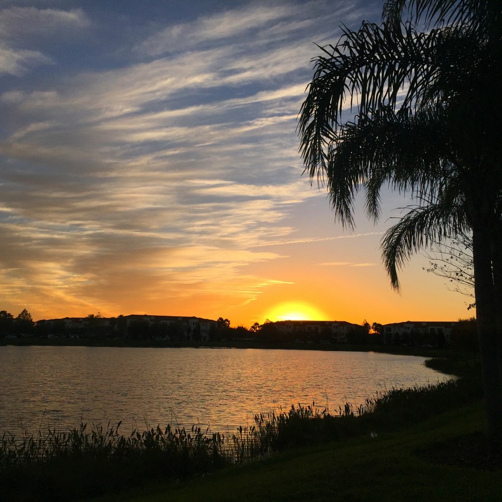 para tirar essa foto do pôr do sol nessa semana, eu fiz apenas 4 cliques até achar o que mais gostei.. uma evolução para mim