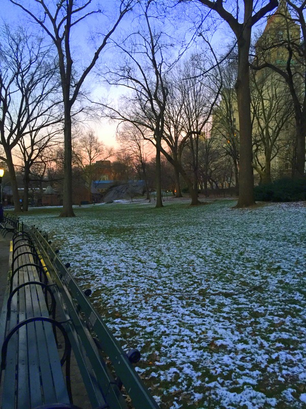 Central Park com restinho de neve