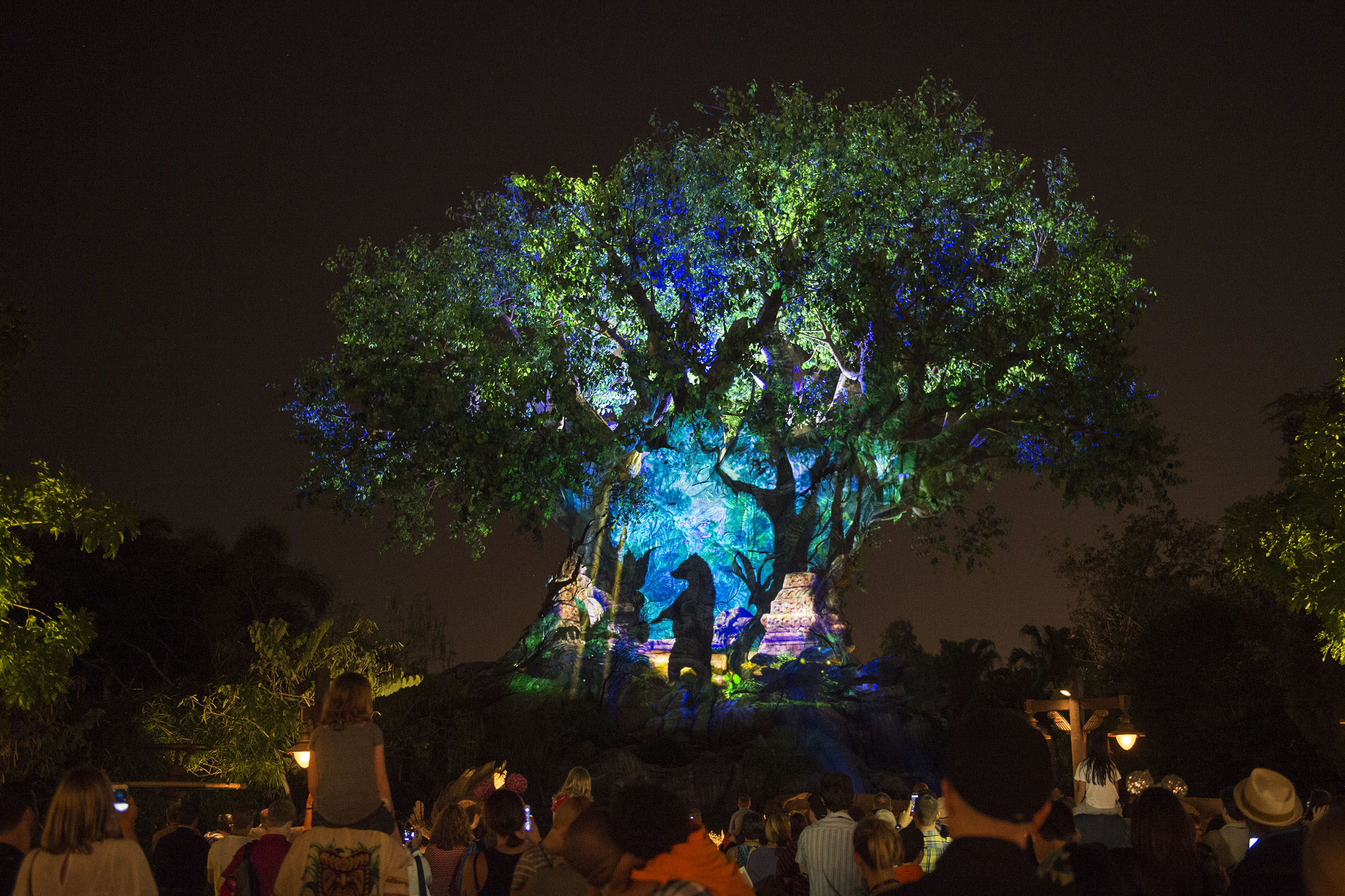 Tree of Life Awakens 