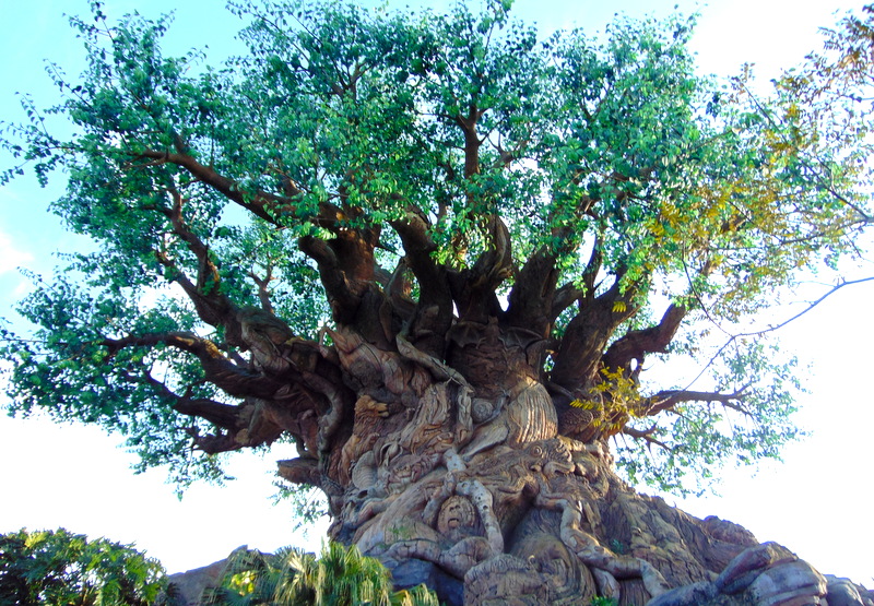 Animal Kingdom