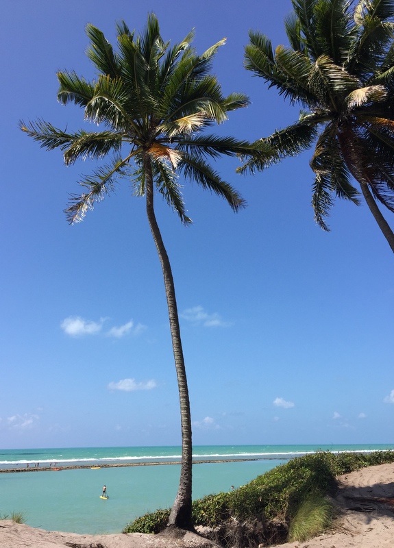 o visual é incrível, um paraíso 