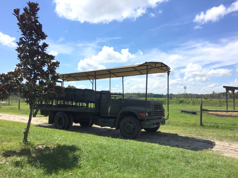 Safari Wilderness em Lakeland