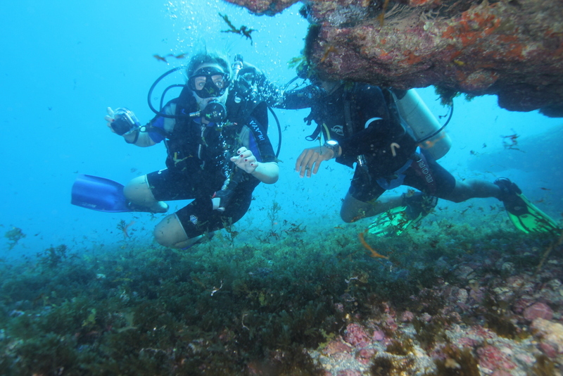 mergulho em Noronha