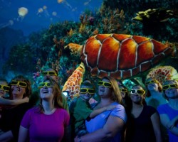 Turtle Trek Sea World Orlando