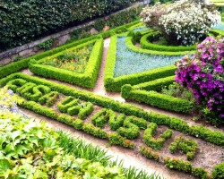 jardins da Casa da Ínsua