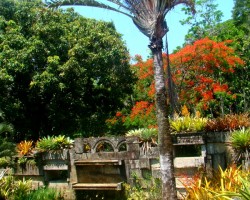Sítio Burle Marx