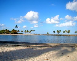 Matheson Hammock Park