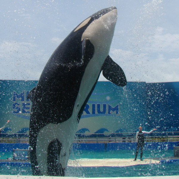 Miami Seaquarium