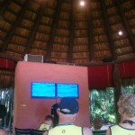 Discovery Cove