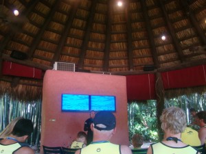 Discovery Cove