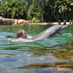 Discovery Cove