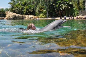 Discovery Cove